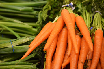 Bright orange fresh bunch of carrots at a grocery store