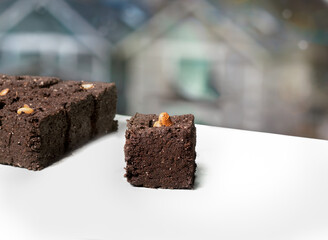 Bean seeds in soil blocks for starting  plants indoor to transplant later. Compressed planting soil...