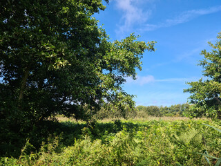 Guernsey Channel Islands, Le Grand Pre Nature Reserve