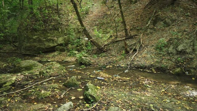 Grarbage dumps in the forest of Bechir's Creek near Soroca, Moldova