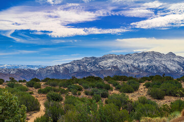 San Bernardino Mountains from the Mojave Desert