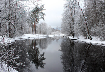river in the forest