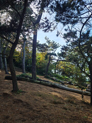 Guernsey Channel Islands, Le Guet