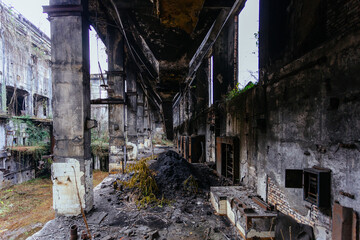 Overgrown ruins of industrial building. Abandoned, destroyed by war power plant in Tkvarcheli...