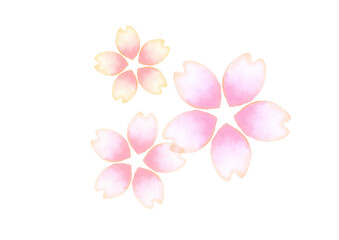 手書き　水彩　桜の花びら