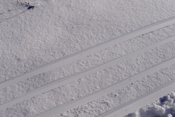 雪の上のソリの跡