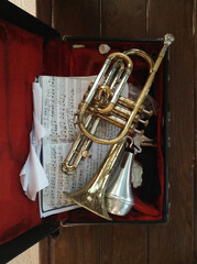 trumpet inside a case