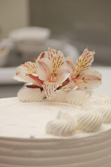 Cake and Dessert
