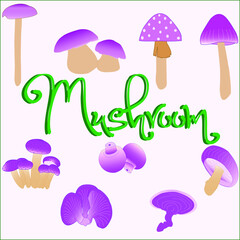 a set of mushrooms with purple theme vector design illustration