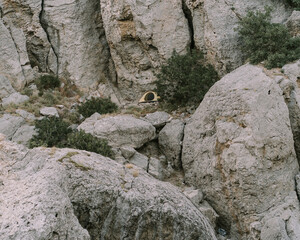 Camping on white rocks. Lonely tent in the mountains. Travel to the wild