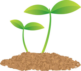 土から新芽が生えているイメージイラスト