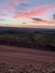 sunset over the field