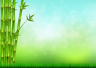 green bamboo stems and grass background