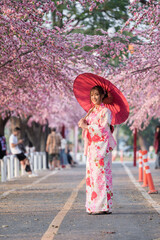 woman in yukata (kimono dress) holding umbrella and looking sakura flower or cherry blossom...