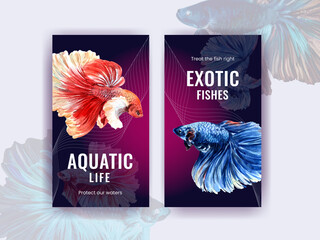 Instagram template with Siames fighting fish concept design for social media and online marketing watercolor vector illustration