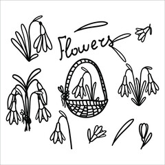 Vector spring set, in the doodle technique, images of snowdrops, flowers, leaves, buds, bouquets, compositions in cartoon baskets, a frame of snowdrops, the inscription flowers. Stock illustration