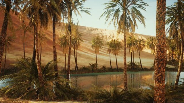 oasis with palm trees in desert