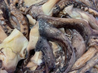 close up fresh squid in food market