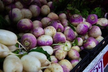 Fresh turnips root crops for sale on counter of local market. Vegetarian food concept