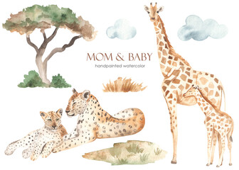 Watercolor set mom and baby Africa leopards, giraffes, dried flowers, clouds