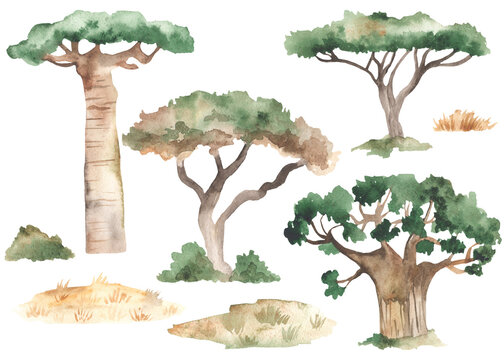 Watercolor set with Africa trees acacias, baobabs, dry grass, bush