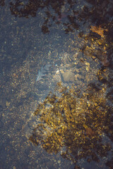 Rocks under the water