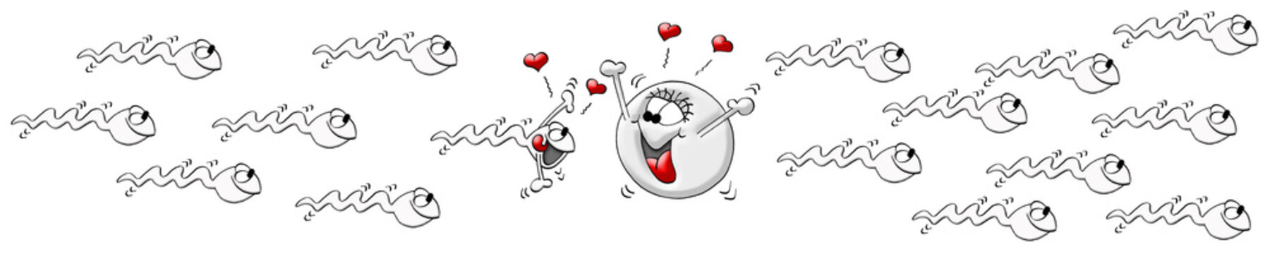 Befruchtung Eizelle Cartoon, Eizelle und Sperma Illustration