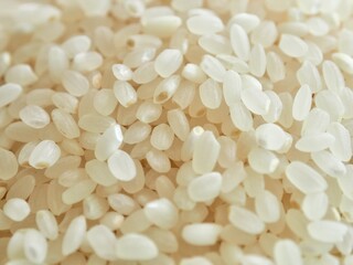 Fototapeta na wymiar 아시아 음식 유기농 흰쌀