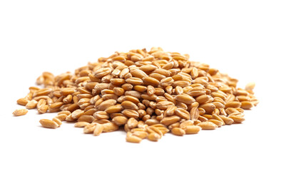 A Pile of Spelt Grain Isolated on a White Background