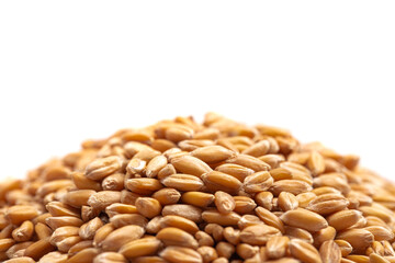 A Pile of Spelt Grain Isolated on a White Background