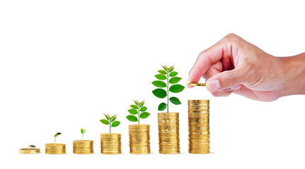 Money saving with hand holding a coin put on a coin stack increase with a small tree growing on the money. Business growth and success on white background..
