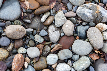 A shallow river, a rocky bottom with a dry riverbed against the background of autumn weather in nature and small pebbles.