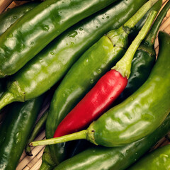 Fresh Red and Green Chili Peppers Closeup Top View with Copy Space. Be Different Concept. 