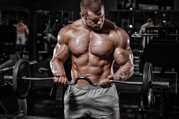 Fototapeta na wymiar Athlete muscular bodybuilder training biceps with EZ barbell in the gym