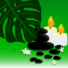 Spa stones with candles, water drops, plumeria flowers and monstera leaf. Vector illustration.