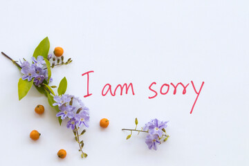 i am sorry message card handwriting with purple flowers arrangement flat lay style on background...