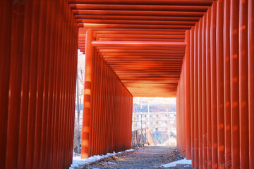 真っ赤な鳥居　日本の神社