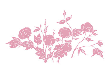 Cotton herb for elegant invitation, wedding card design, rustic design, botanical design. Illustration on a white background
