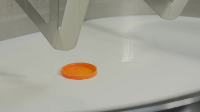 the cheese maker determines the flocculation point with a plastic lid in the milk tank to which the ferment is added. Cheese production