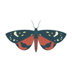 Tiger Moth butterfly. Vector Illustration