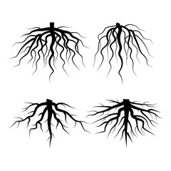 Abstract roots. Doodle vector illustration. Abstract background. Nature illustration. Stock image. EPS 10.