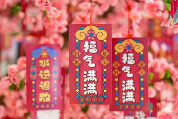 Cards with New Year's wishes are hung on the tree