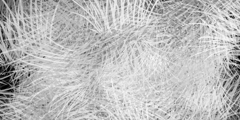 abstract light gray soft grunge texture background bg wallpaper sample art paint stone rock wall old	
