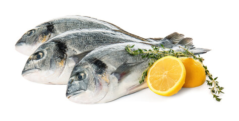 Raw dorado fish with lemon on white background