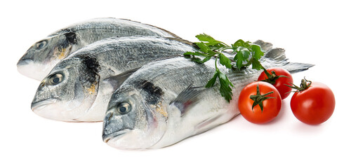 Raw dorado fish with tomatoes on white background
