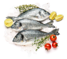 Raw dorado fish with ingredients on white background
