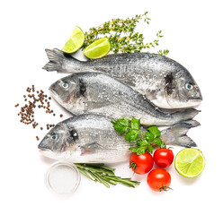 Raw dorado fish with ingredients on white background