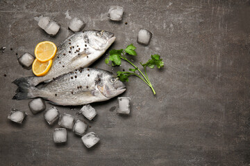Raw dorado fish with spices and ice on dark background