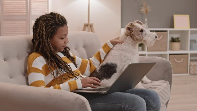 Medium long side view of school-aged African female child sitting on couch in living room, using laptop computer and petting her Wire Fox Terrier dog
