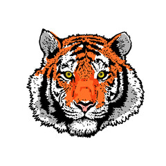 Tiger head. Detailed drawing of a tiger. The symbol of the new 2022.